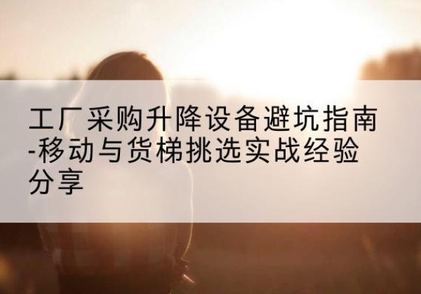 临渭移动式升降机怎么选-工厂采购升降设备避坑指南-移动与货梯挑选实战经验分享