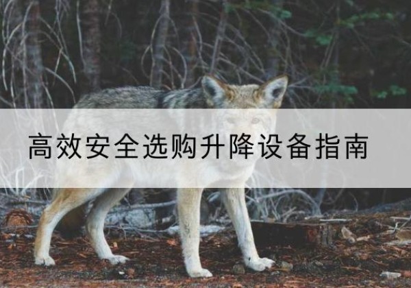 临渭升降货梯厂家推荐-*安全选购升降设备指南