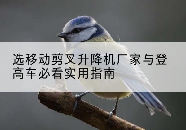 临渭电动升降机厂家-选移动剪叉升降机厂家与登高车必看实用指南